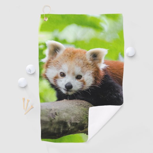 Red Panda Golfhandtuch (Insitu)