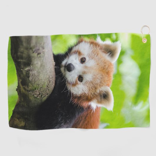 Red Panda Golfhandtuch (Horizontal)