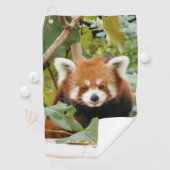 Red Panda Golfhandtuch (Insitu)