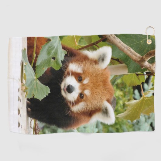 Red Panda Golfhandtuch (Horizontal)