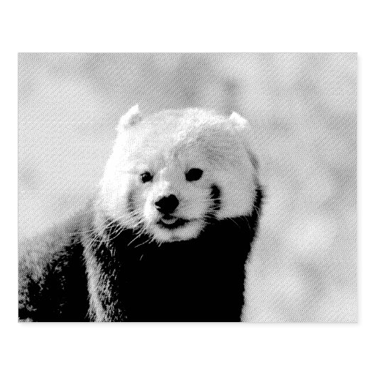 Red Panda Gummistempel (Prägung)
