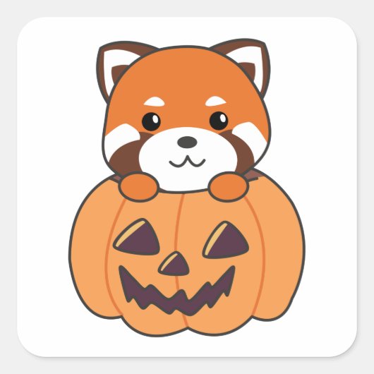 Red Panda in Pumpkin Niedlich Pandas Happy Hallowe Quadratischer Aufkleber (Vorderseite)