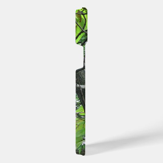 Red Panda iPhone Case Hülle (Rechte Seite)