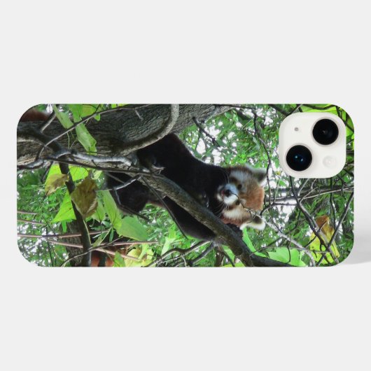 Red Panda iPhone Case Hülle (Rückseite (Horizontal))