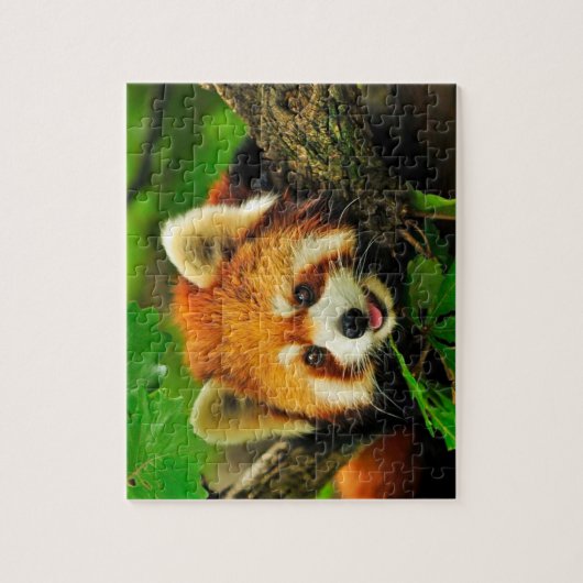 Red Panda Jigsaw Puzzle (Vertikal)