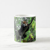 Red Panda Kaffeetasse (Mittel)