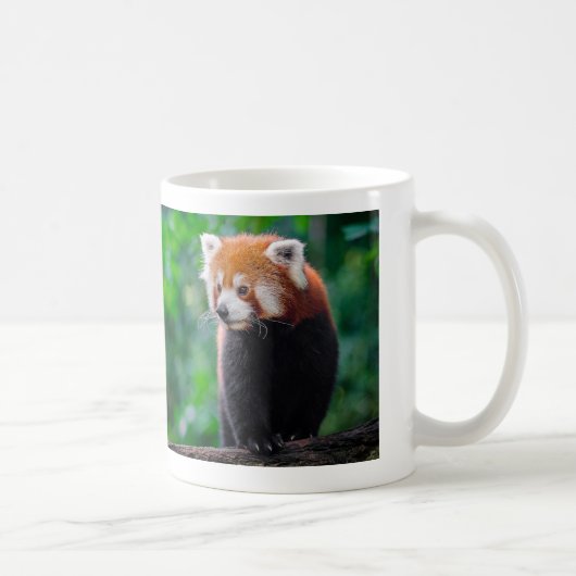 Red Panda Kaffeetasse (Rechts)