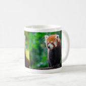 Red Panda Kaffeetasse (VorderseiteRechts)