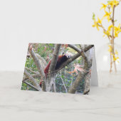 Red Panda Karte (Gelbe Blume)