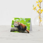 Red Panda Karte (Gelbe Blume)