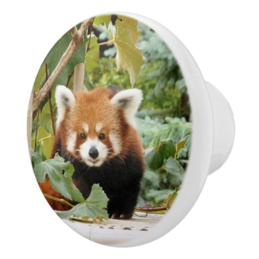 Red Panda Keramikknauf (Rechts)