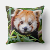 Red Panda Kissen (Rückseite)