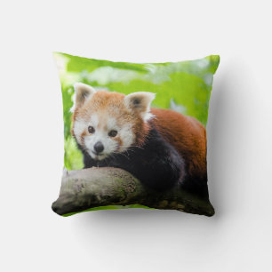 Red Panda Kissen