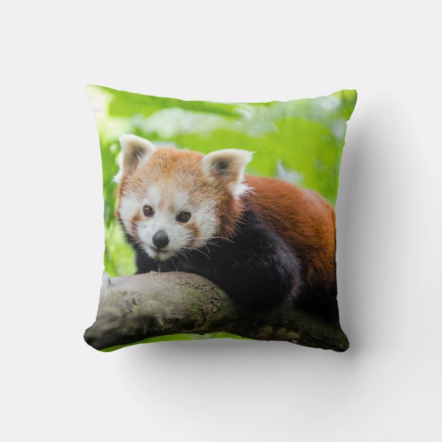 Red Panda Kissen (Vorderseite)