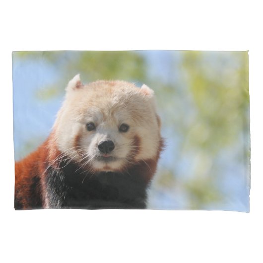 Red Panda Kissenbezug (Vorderseite)