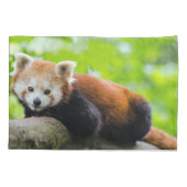 Red Panda Kissenbezug (Rückseite-Links)