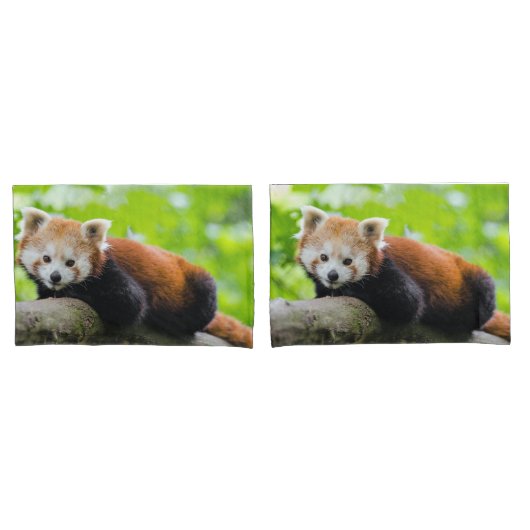 Red Panda Kissenbezug (Vorderseite-Set)
