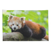 Red Panda Kissenbezug (Rückseite-Rechts)