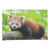 Red Panda Kissenbezug (Vorderseite-Rechts)