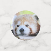 Red Panda Konfetti (Klein Vorderseite)