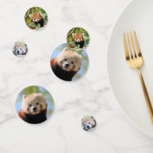 Red Panda Konfetti (Gruppe)
