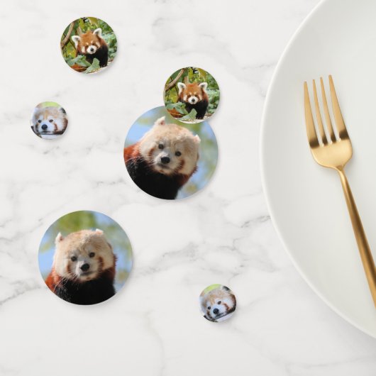 Red Panda Konfetti (Gruppe)
