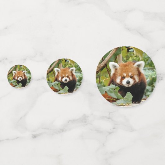 Red Panda Konfetti (Rückseiten)