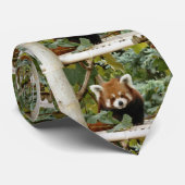 Red Panda Krawatte (Gerollt)