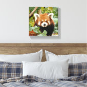 Red Panda Leinwanddruck (Insitu (Schlafzimmer))