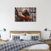 Red Panda Leinwanddruck (Insitu (Schlafzimmer))