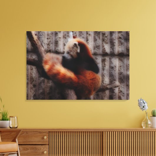 Red Panda Leinwanddruck (Insitu (Wohnzimmer))