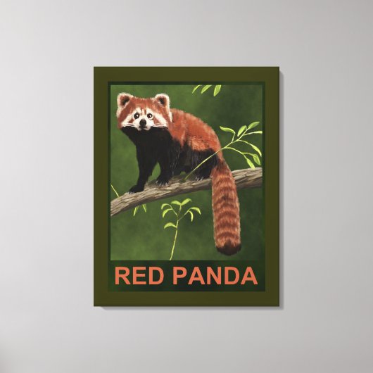 Red Panda Leinwanddruck (Vorderseite)
