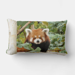 Red Panda Lendenkissen