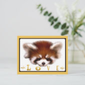 Red Panda Liebe Postkarte (Stehend Vorderseite)