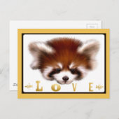 Red Panda Liebe Postkarte (Vorne/Hinten)