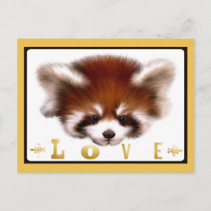 Red Panda Liebe Postkarte