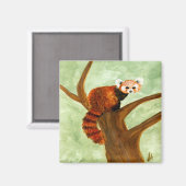 Red Panda Magnet (Vorderseite/Rückseite)