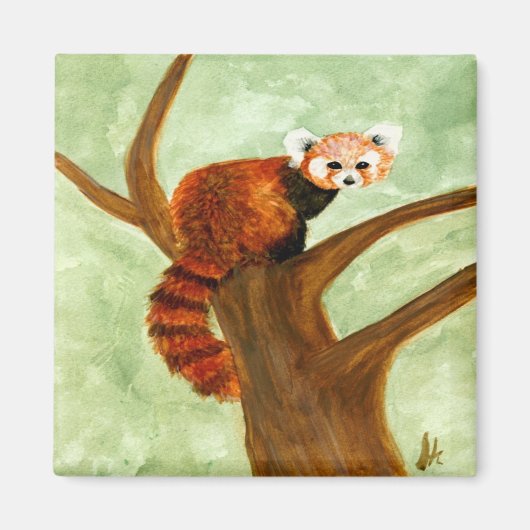Red Panda Magnet (Vorne)