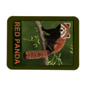 Red Panda Magnet (Horizontal)