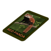 Red Panda Magnet (Linke Seite)