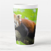 Red Panda Milchtasse (Vorderseite)