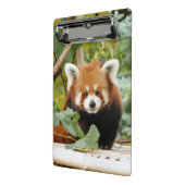 Red Panda Mini Klemmbrett (Gewinkelt2)