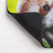 Red Panda Mousepad (Ecke)