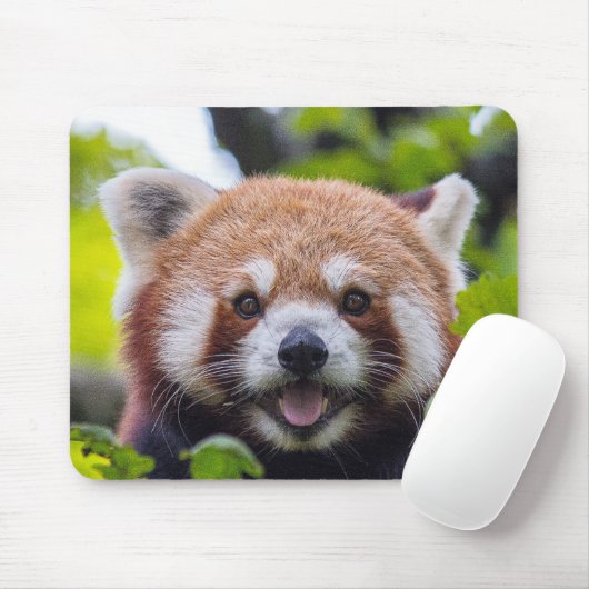Red Panda Mousepad (Mit Mouse)