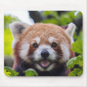Red Panda Mousepad (Vorne)