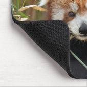 Red Panda Mousepad (Ecke)