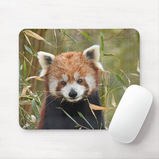 Red Panda Mousepad (Mit Mouse)