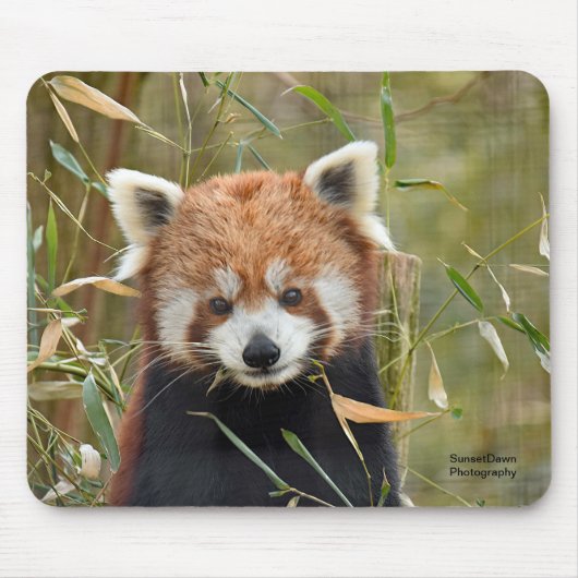 Red Panda Mousepad (Vorne)
