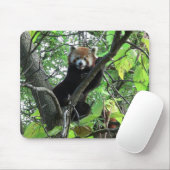 Red Panda Mousepad (Mit Mouse)