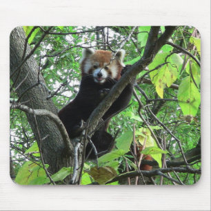 Red Panda Mousepad